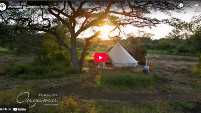 Onguma Trails Camp video